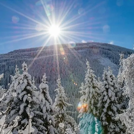 Alte Schmiede バードガシュタイン