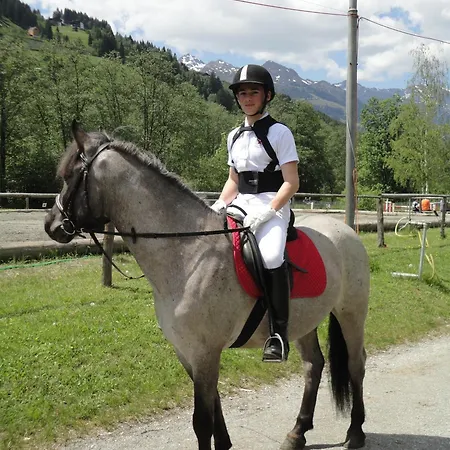 Alte Schmiede Bad Gastein