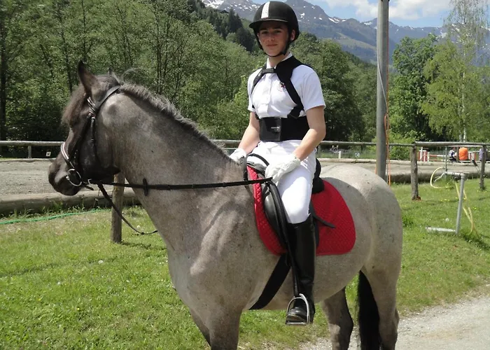 Alte Schmiede Бадгаштейн